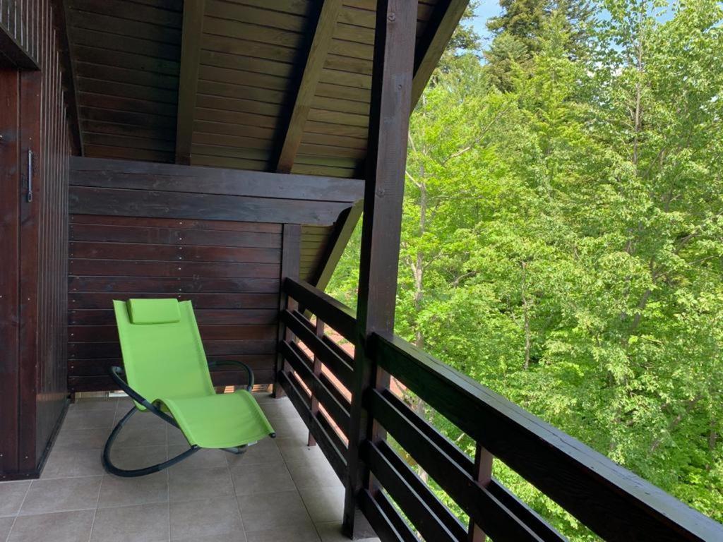 Relaxing Balcony Sinaia