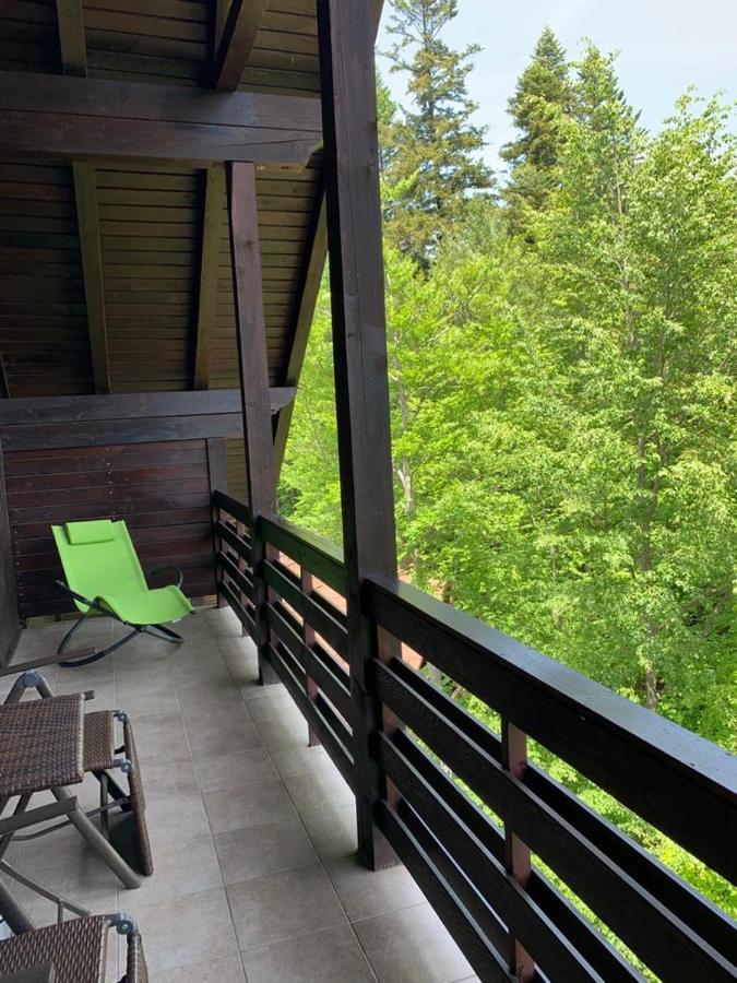 Relaxing Balcony Apartament Sinaia