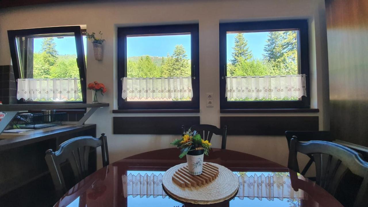 Relaxing Balcony Sinaia