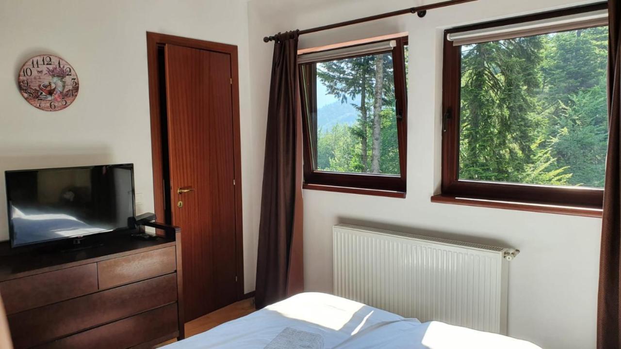 Apartament Relaxing Balcony Sinaia