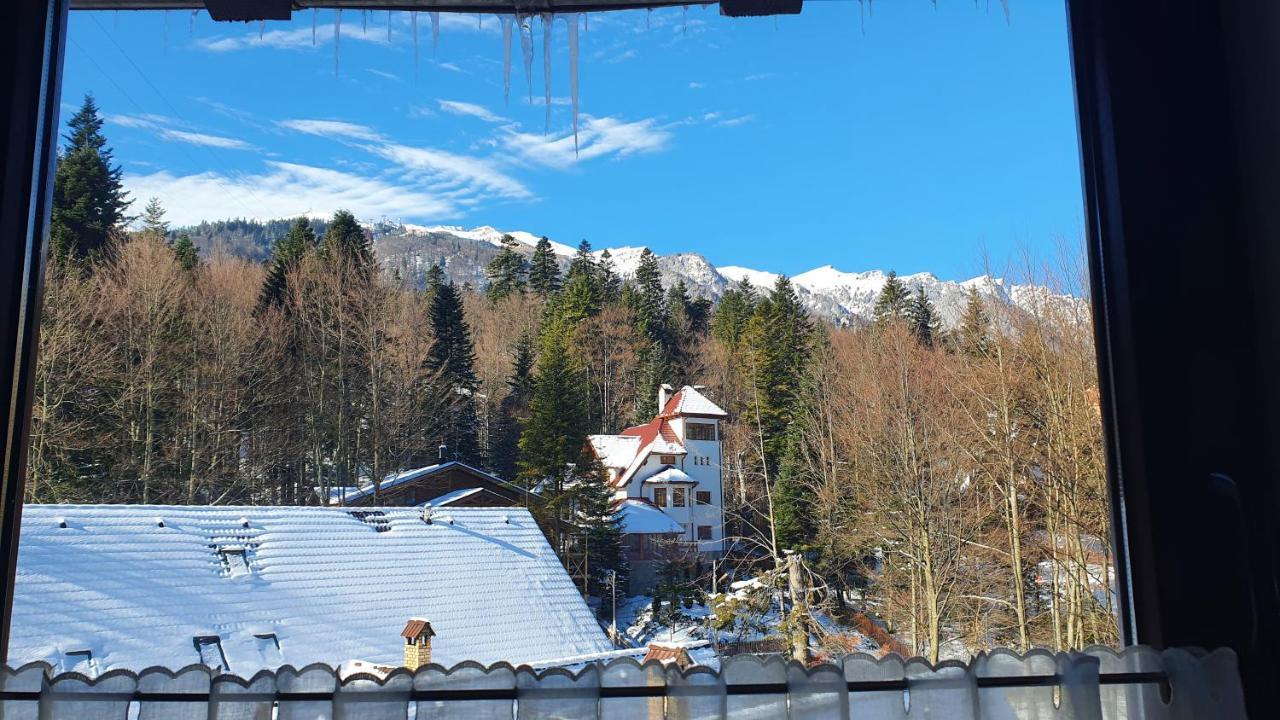 Relaxing Balcony Apartament Sinaia