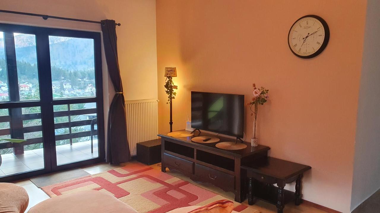 Relaxing Balcony Apartament Sinaia