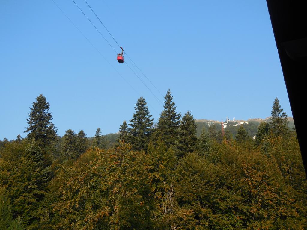 Relaxing Balcony Sinaia